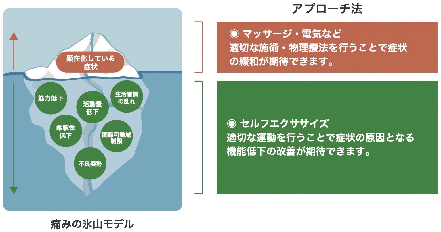 運動療法が必要な理由